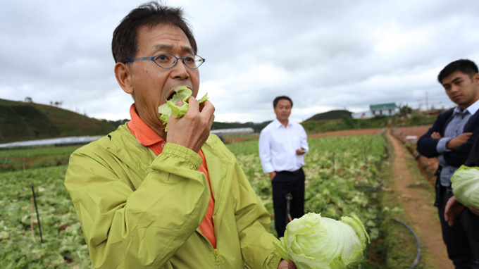 xuất khẩu rau sạch sang thị trường Nhật Bản